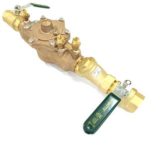 
                  
                    Load image into Gallery viewer, Watts 009-032-LBS 32mm 1¼&amp;quot; RPZ Reduced Pressure Zone Backflow Preventer kits Assembly
                  
                