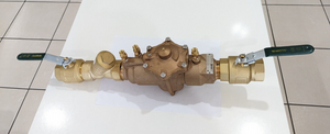 
                  
                    Load image into Gallery viewer, Watts 009-050 50mm 2&amp;quot; RPZ Reduced Pressure Zone Backflow Preventer kits
                  
                