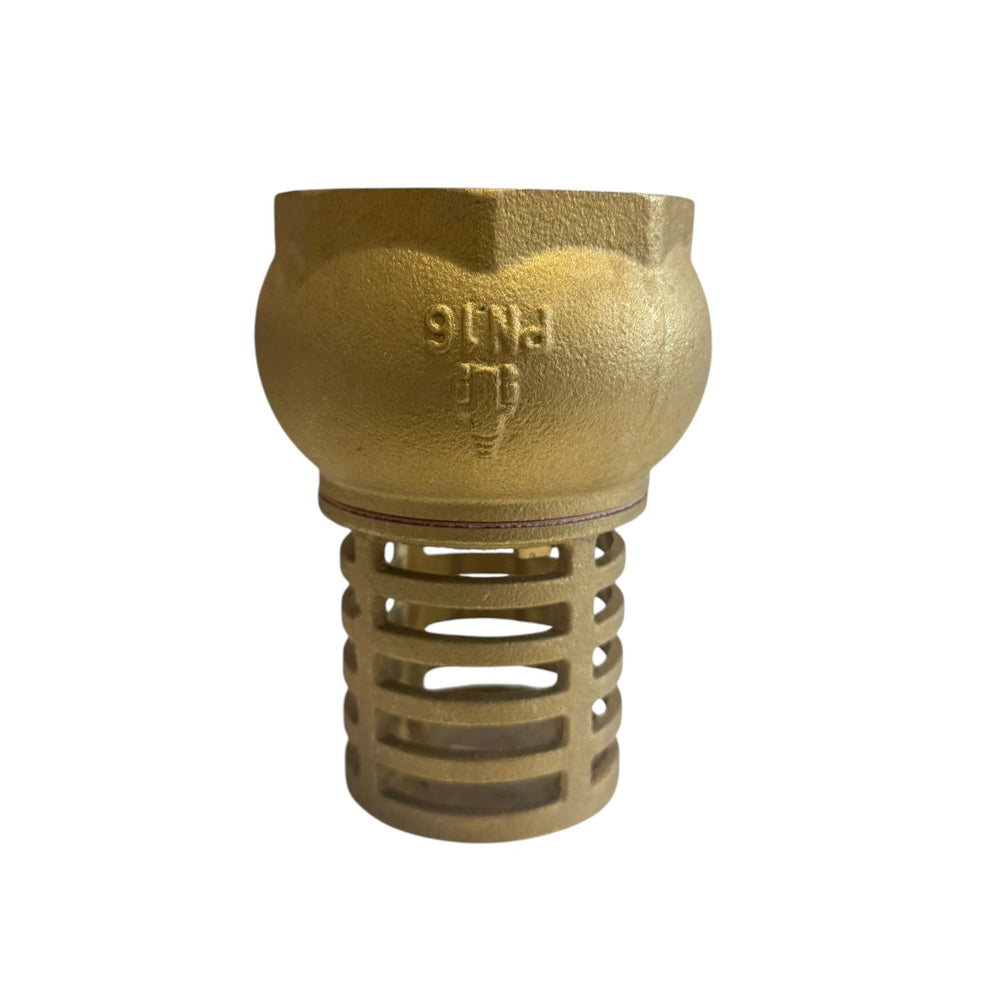 
                  
                    Load image into Gallery viewer, AW Brass Non Return Foot Valve 
                  
                