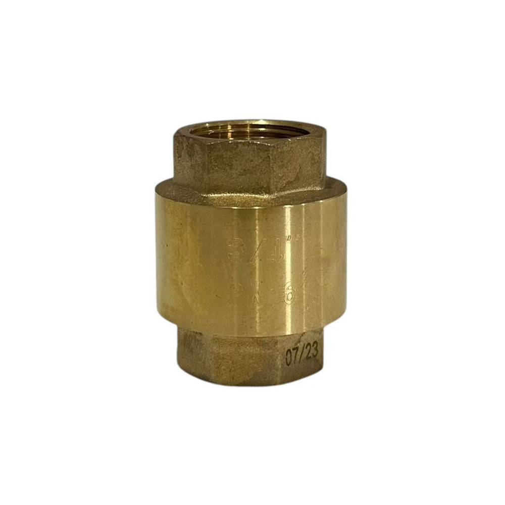 20mm Spring Check Valve