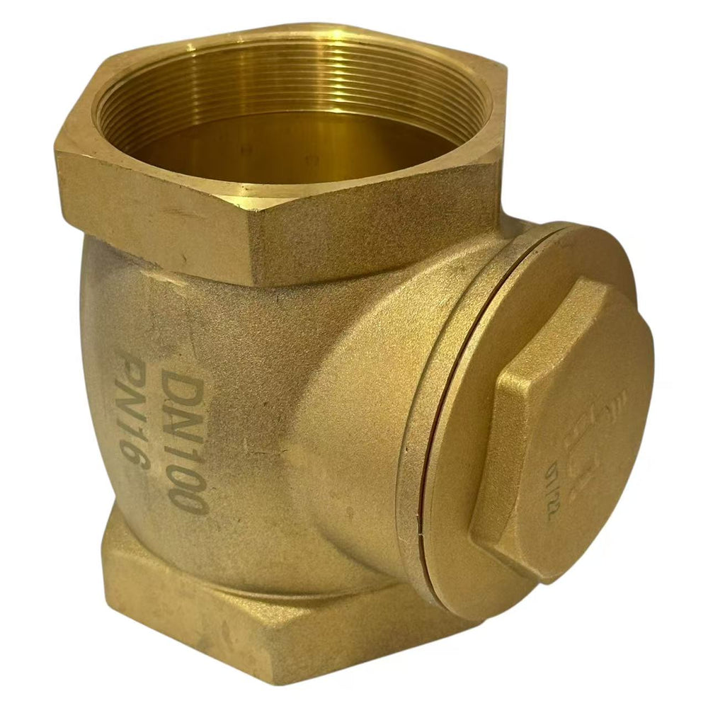 100mm Swing Check Valve