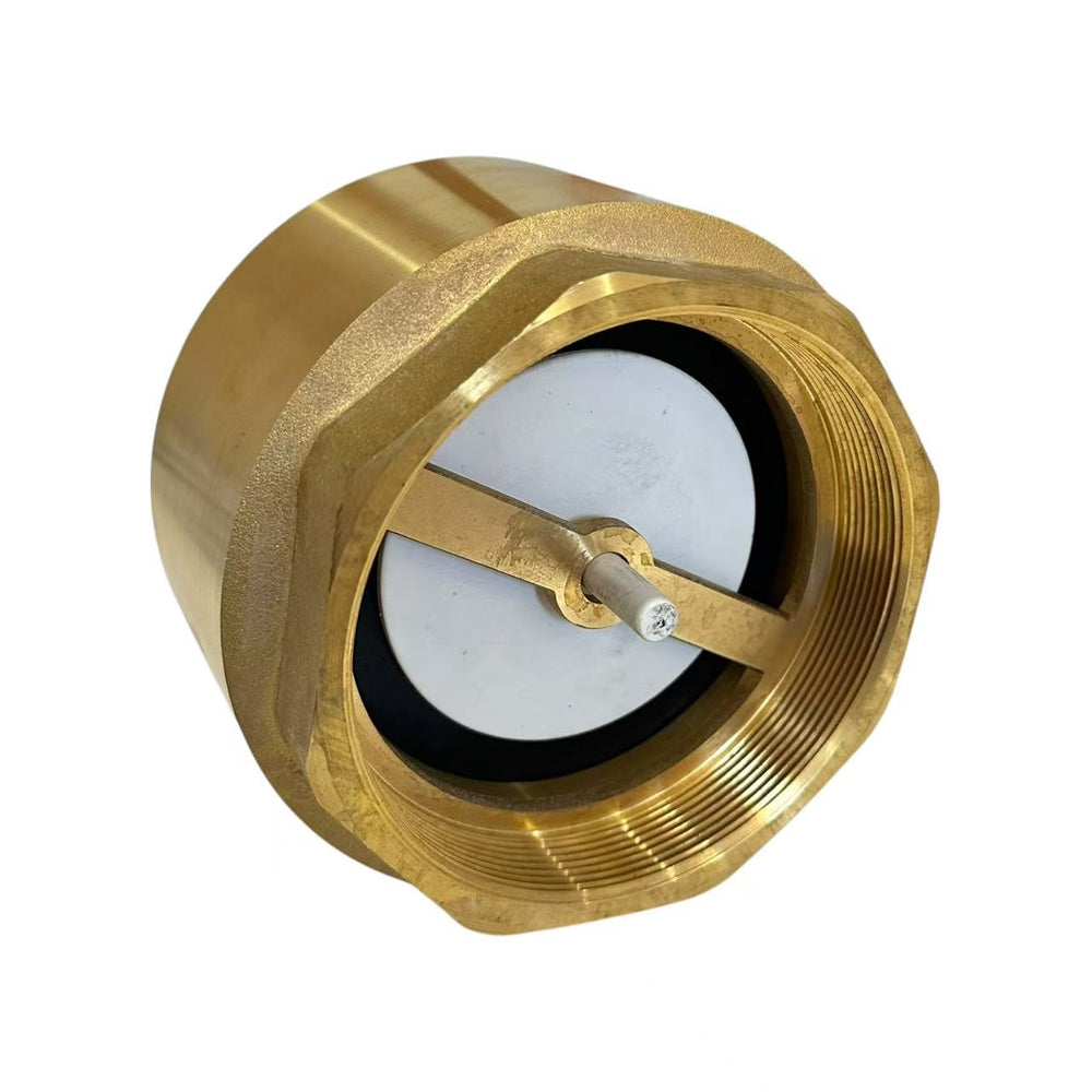 
                  
                    Load image into Gallery viewer, Spring Loaded Check Valve
                  
                