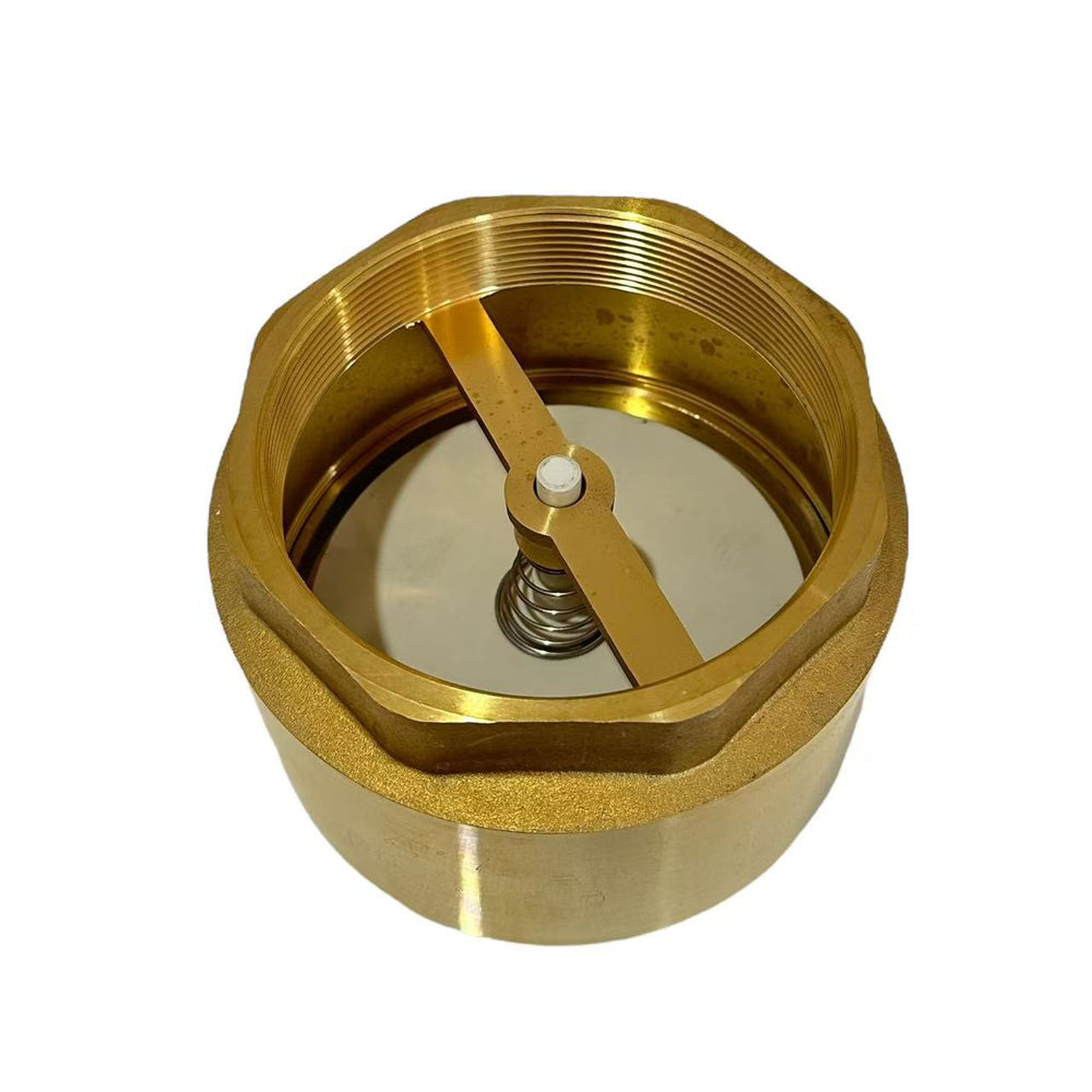 100mm Spring Check Valve