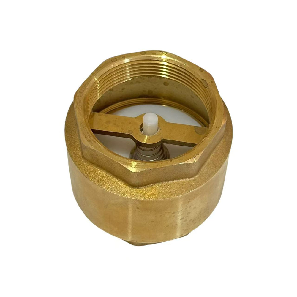 Spring Loaded Check Valve