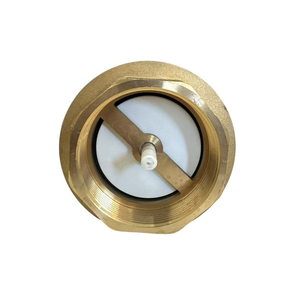 
                  
                    Load image into Gallery viewer, Spring Loaded Check Valve
                  
                