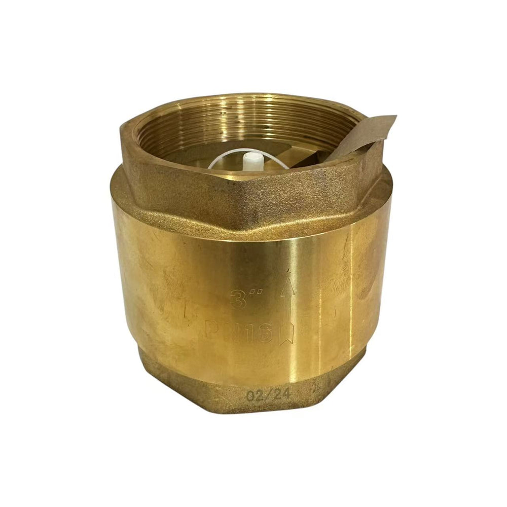 80mm Spring Check Valve