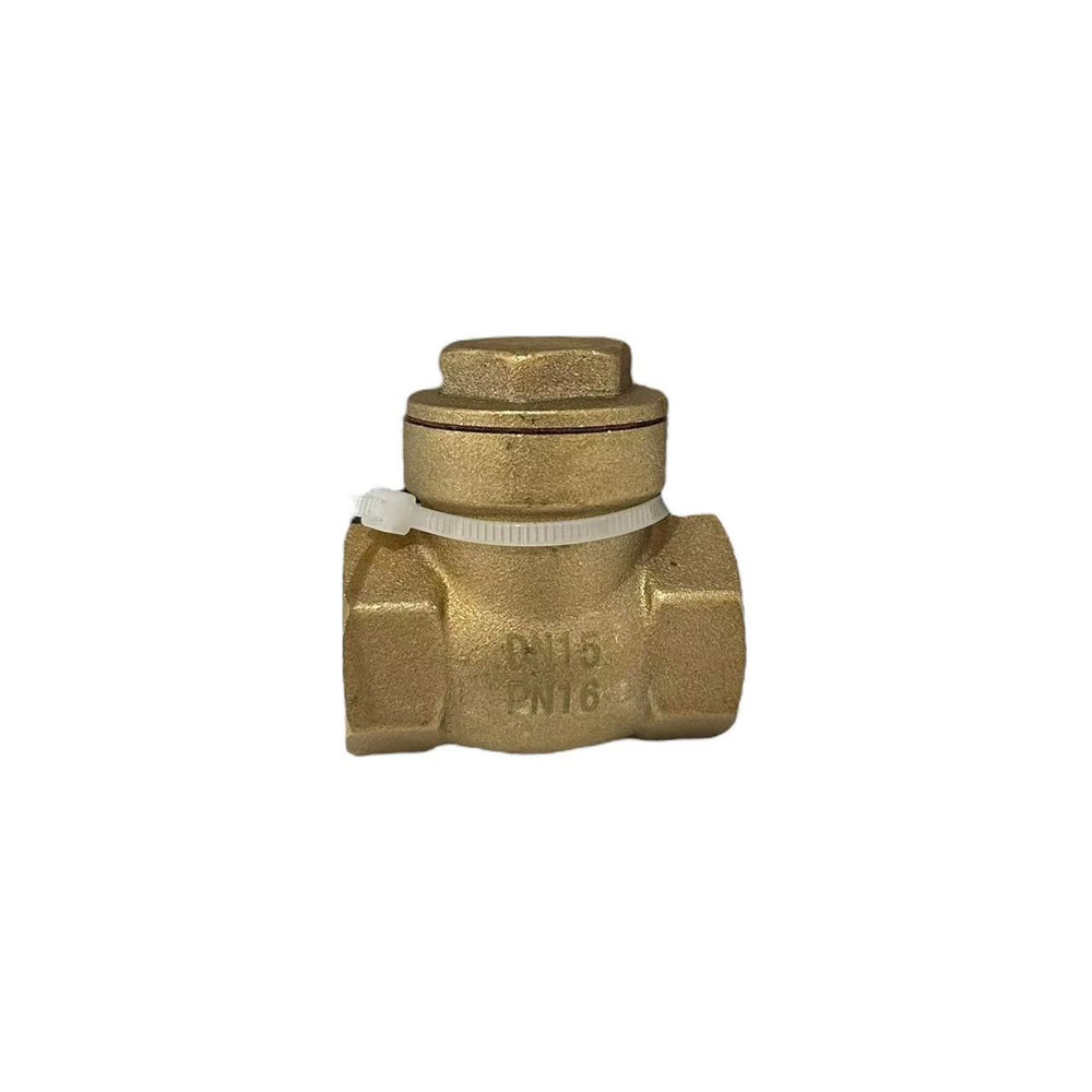 Swing Check Valve