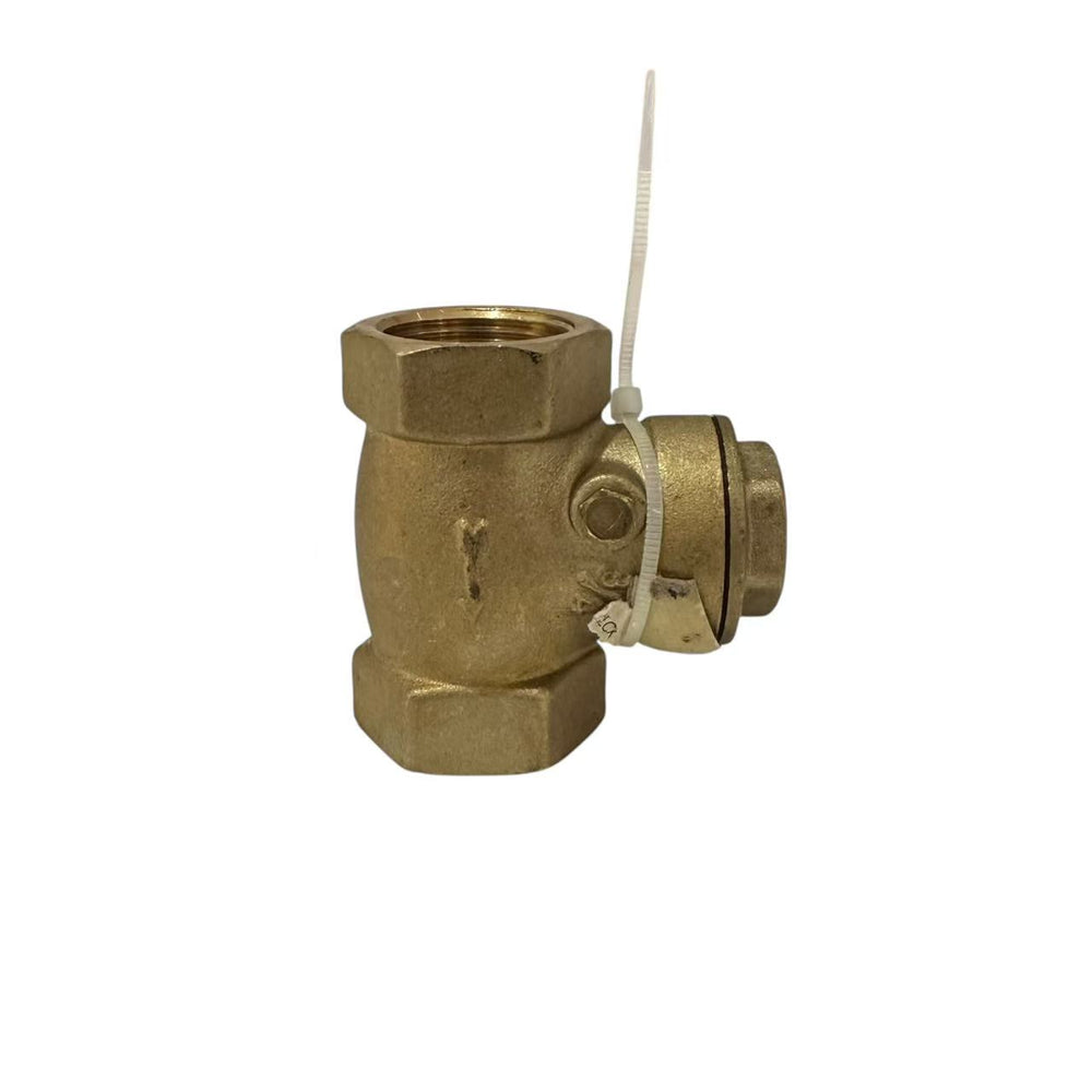 
                  
                    Load image into Gallery viewer, Austworld Swing Check Valve
                  
                