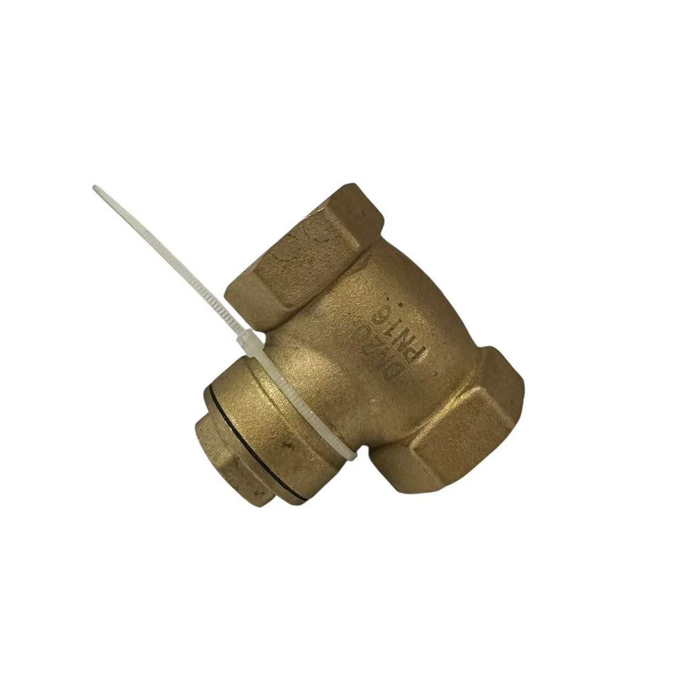 Swing Check Valve