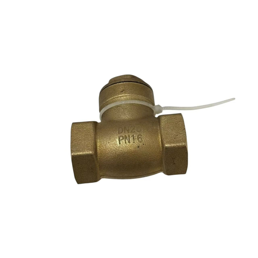 20mm Swing Check Valve