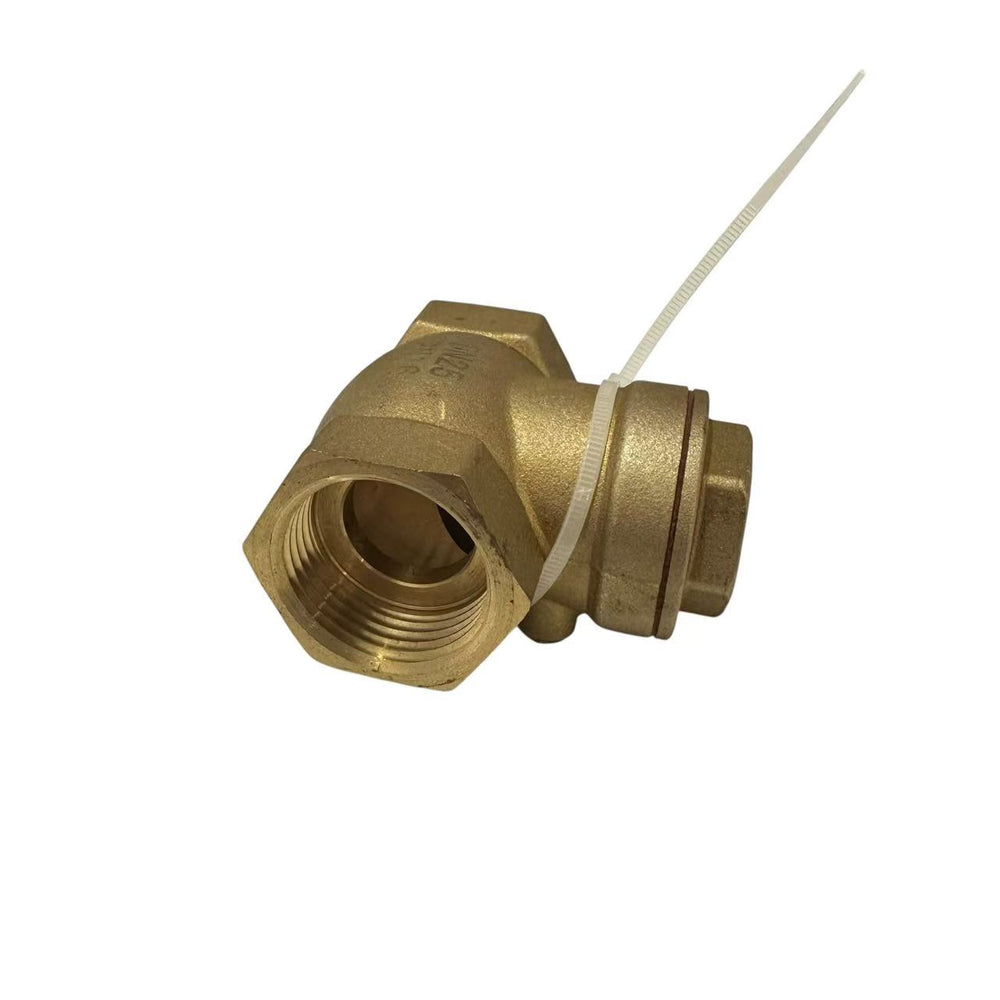 Swing Check Valve
