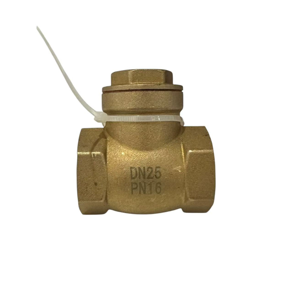 25mm Swing Check Valve