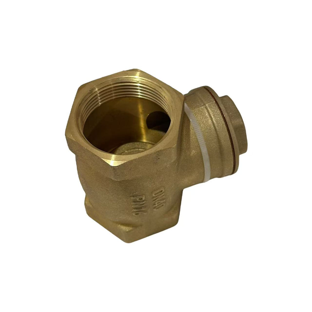 
                  
                    Load image into Gallery viewer, Austworld Swing Check Valve
                  
                