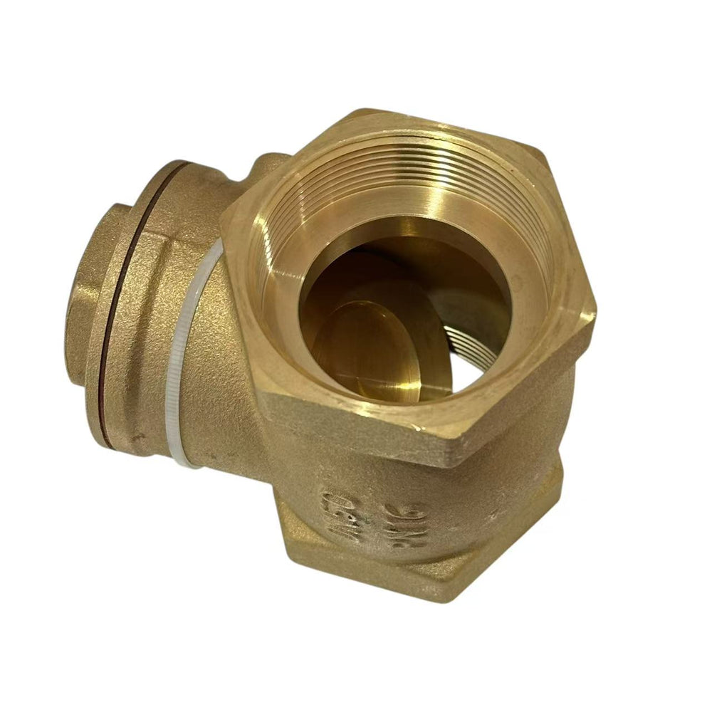 
                  
                    Load image into Gallery viewer, Austworld Swing Check Valve
                  
                