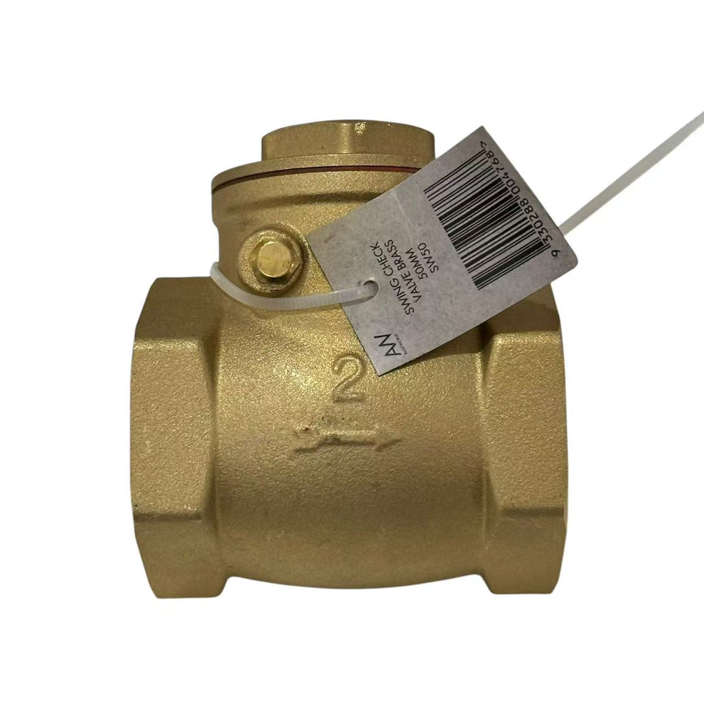50mm Swing Check Valve