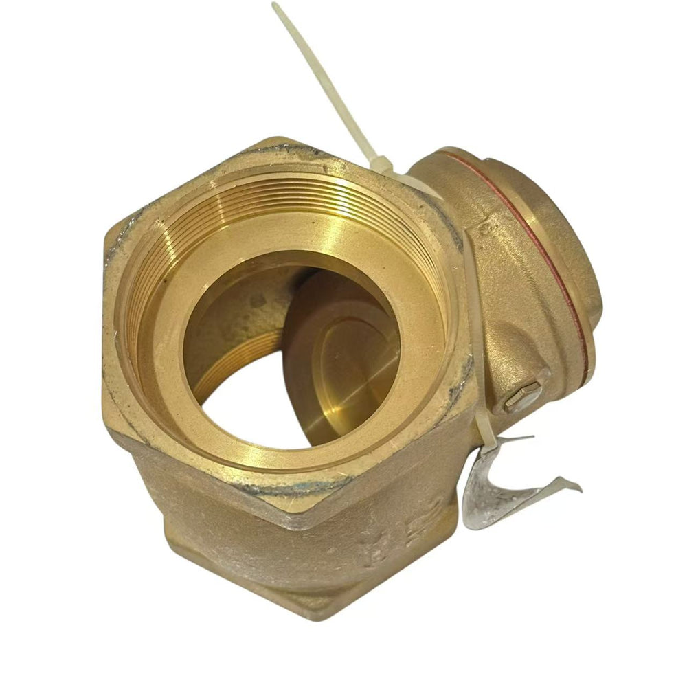 
                  
                    Load image into Gallery viewer, Austworld Swing Check Valve
                  
                