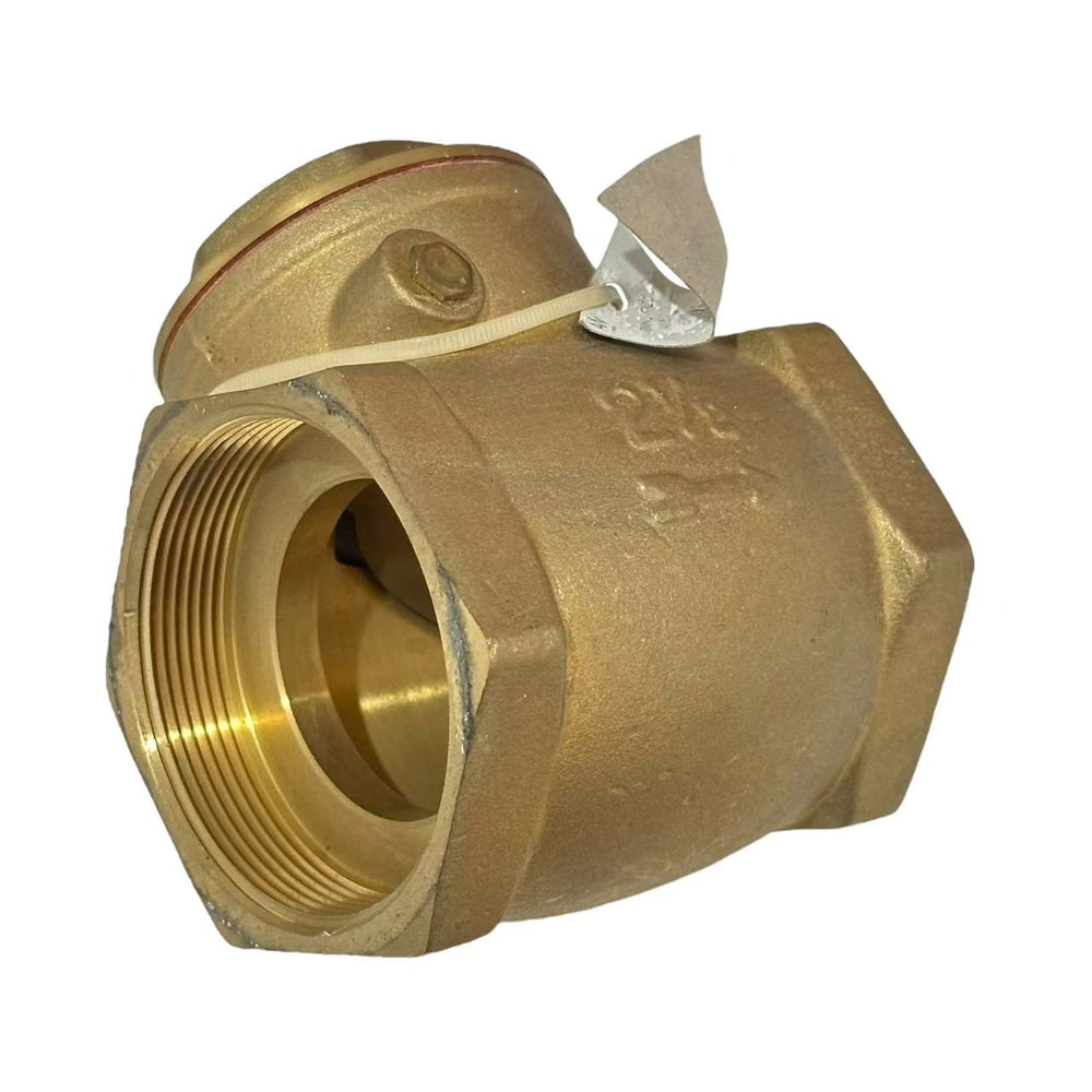 65mm Swing Check Valve