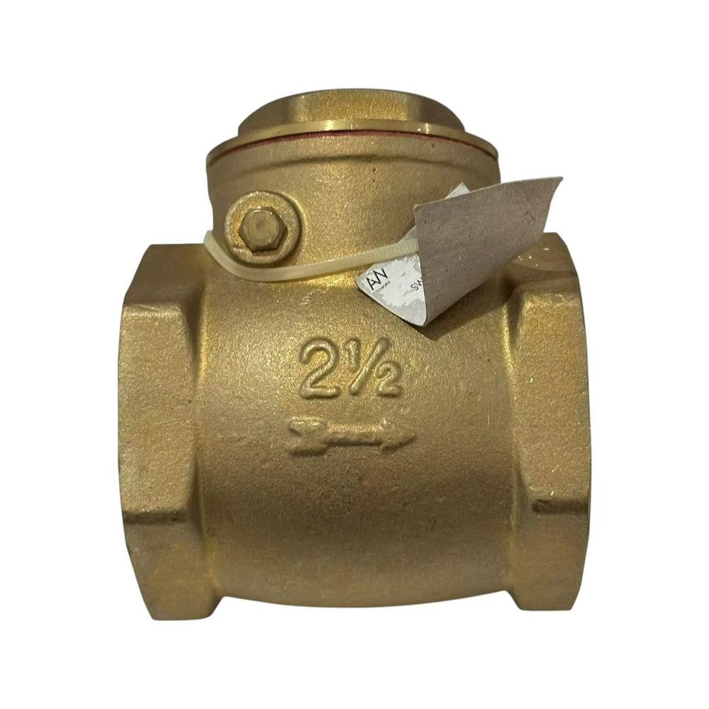 Swing Check Valve