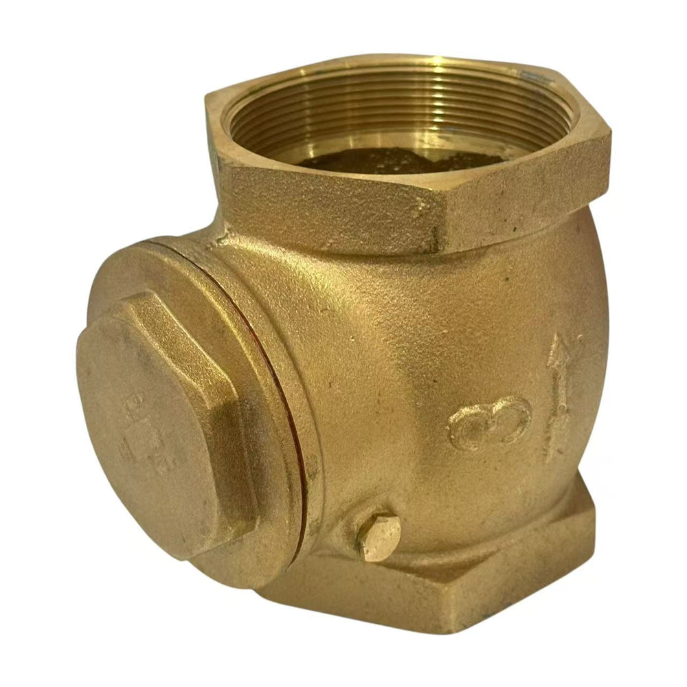 Swing Check Valve