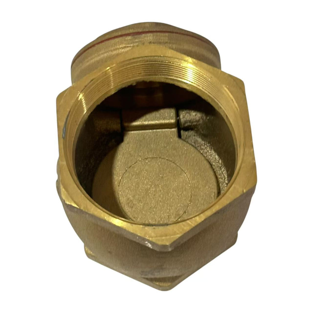 
                  
                    Load image into Gallery viewer, Austworld Swing Check Valve
                  
                