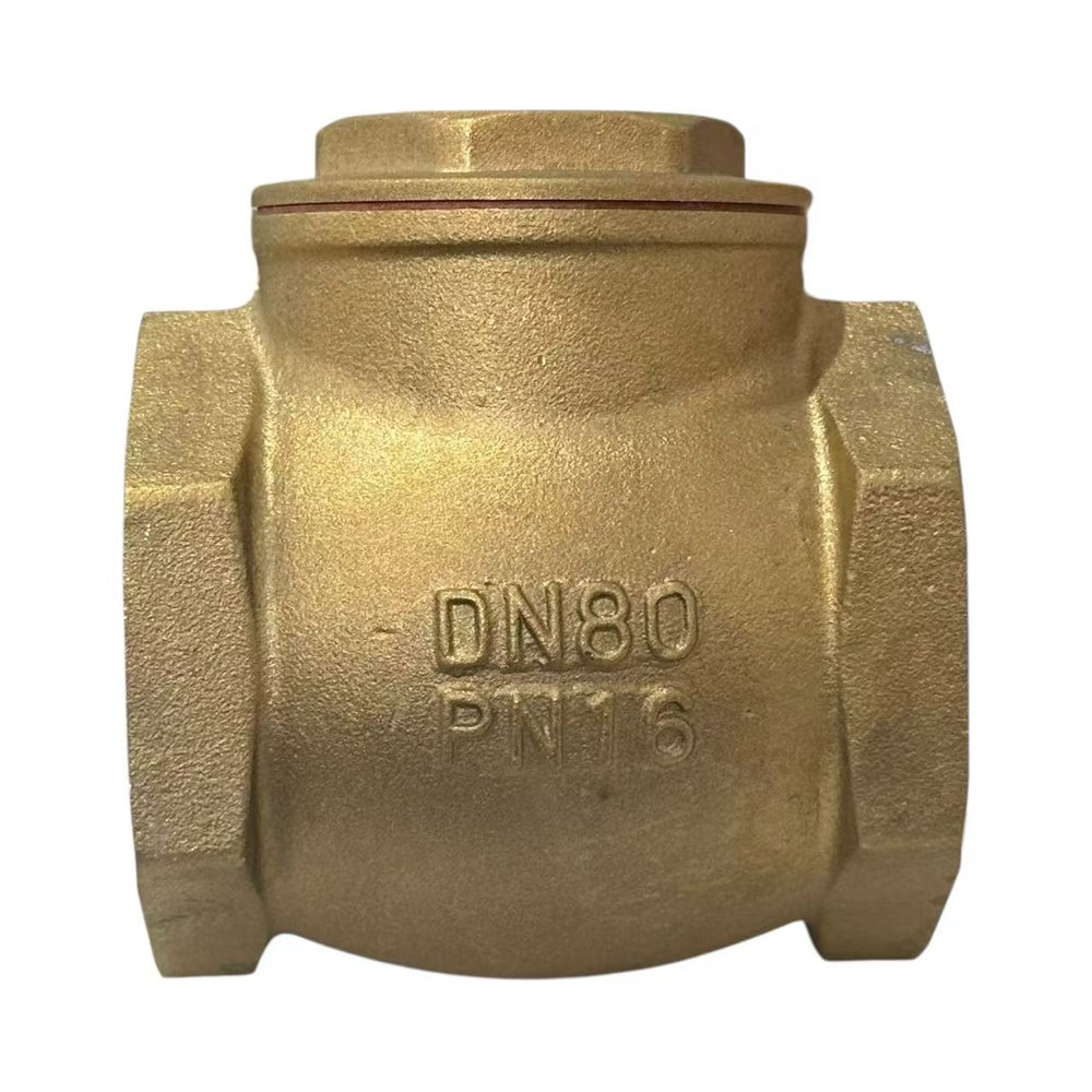 80mm Swing Check Valve
