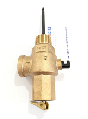 
                  
                    Load image into Gallery viewer, AVG PTR25/1000 25mm (1&amp;quot;) 1000kPa Commercial PTR Pressure Temperature Relief Valve Valve Body
                  
                